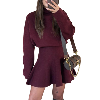 Half High Neck Knit Sweater Dress Chic For Women | Merylle