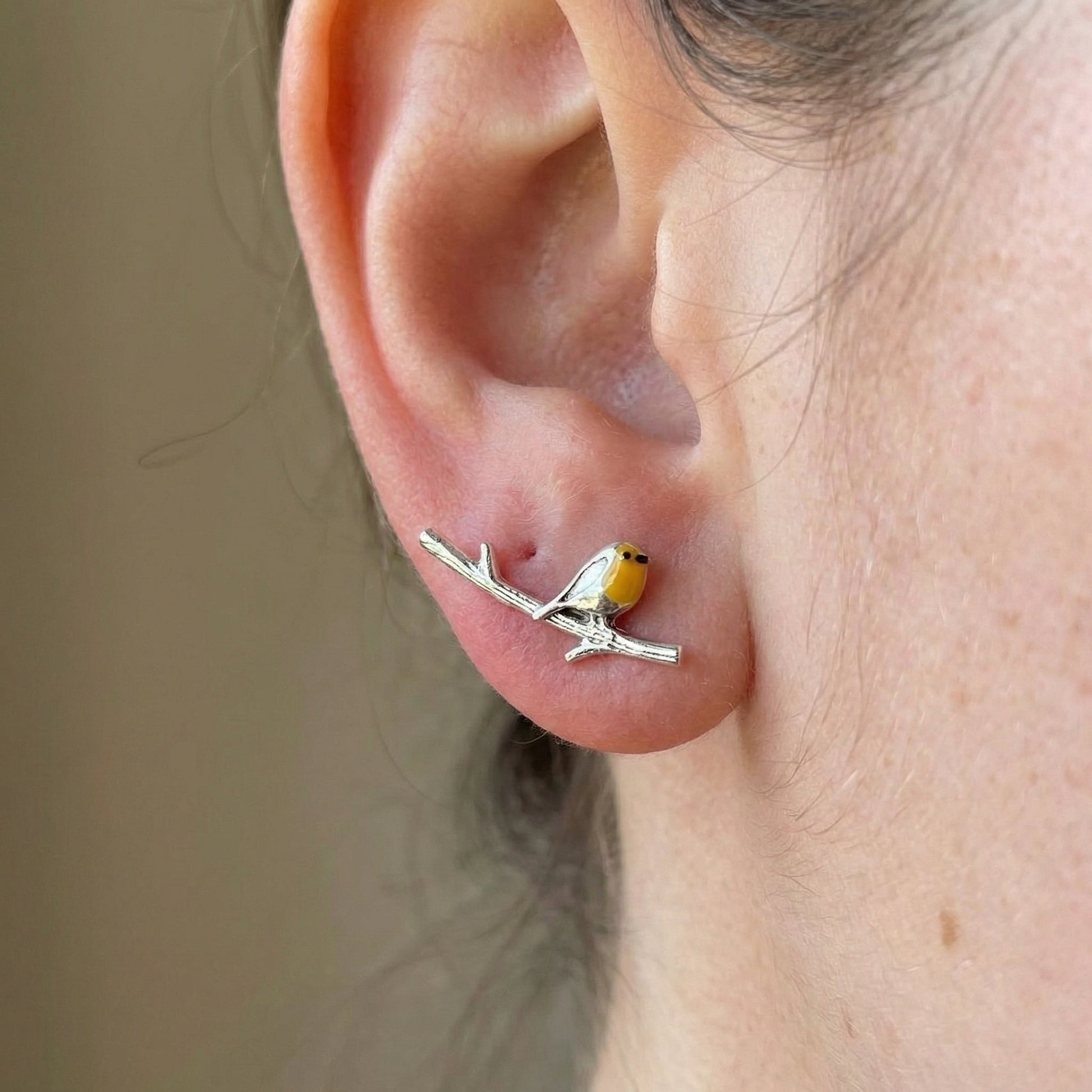 Elegant robin bird stud earrings for women -1