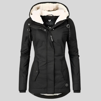 Casual Jacket -2