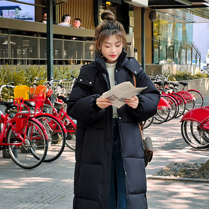 Comfortable Hooded Long Puffer Jacket Stylish For Women | Eloisa